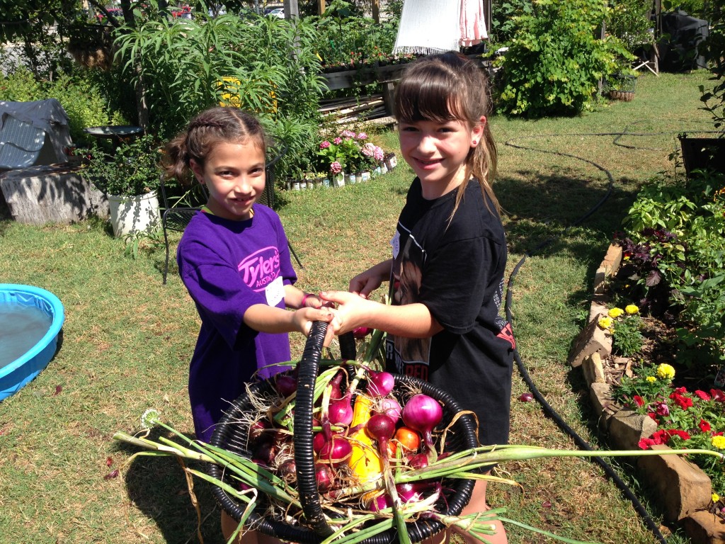 Farm School Produce